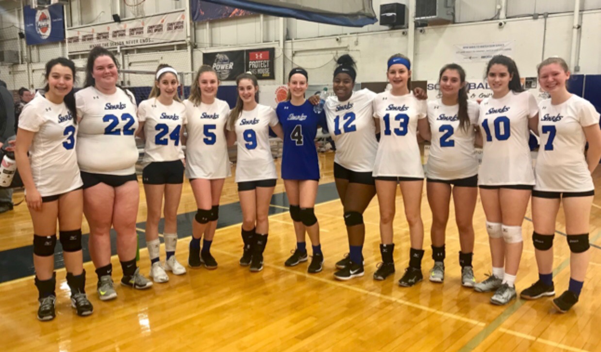 Teams – Sparks Volleyball